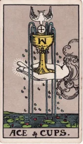 card-6