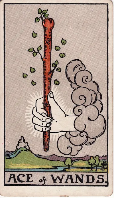 Ace of Wands tarot card