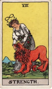card-30