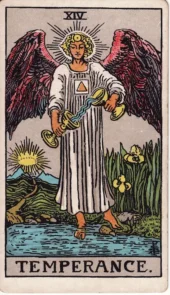 card-9