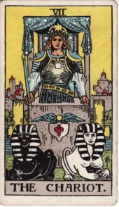 card-5