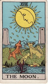 card-23