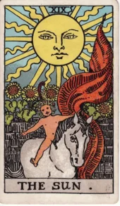 card-29