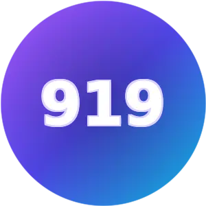 Angel number 919